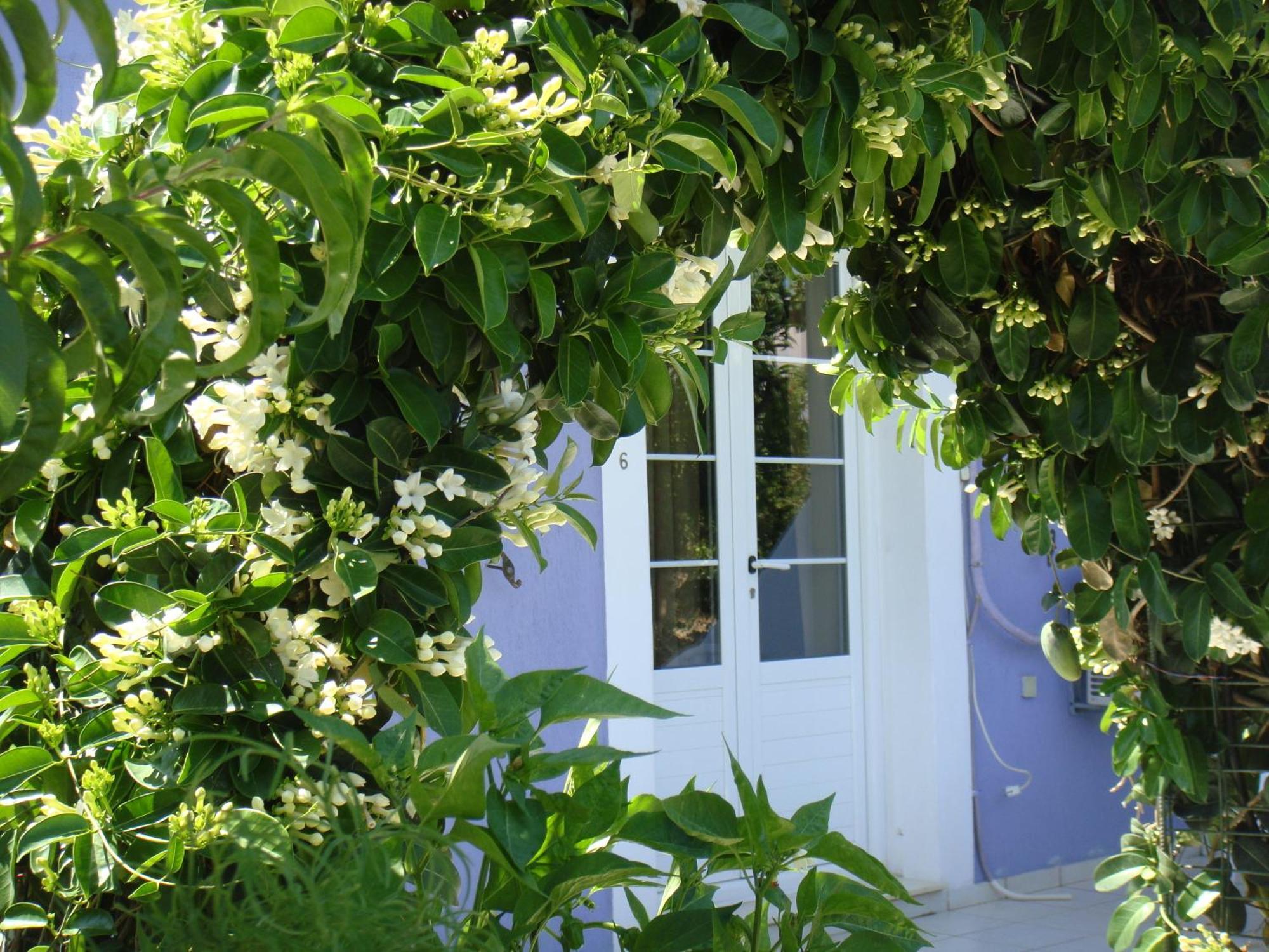 Villa Eliza Skala  Exterior photo